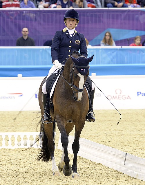 Paraschwimmen 2012 Paralympics