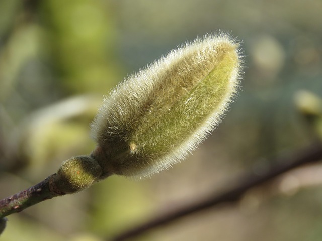 Vividrin Azelastin Augentropfen und Nasenspray bei Allergie