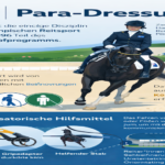 Paralympischen Reitsport